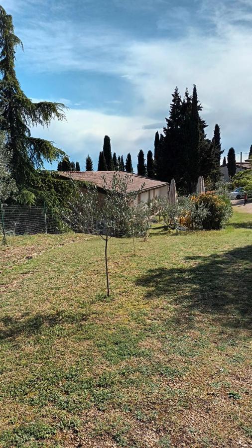 Agriturismo I Merli SantʼAmbrogio di Valpolicella Dış mekan fotoğraf