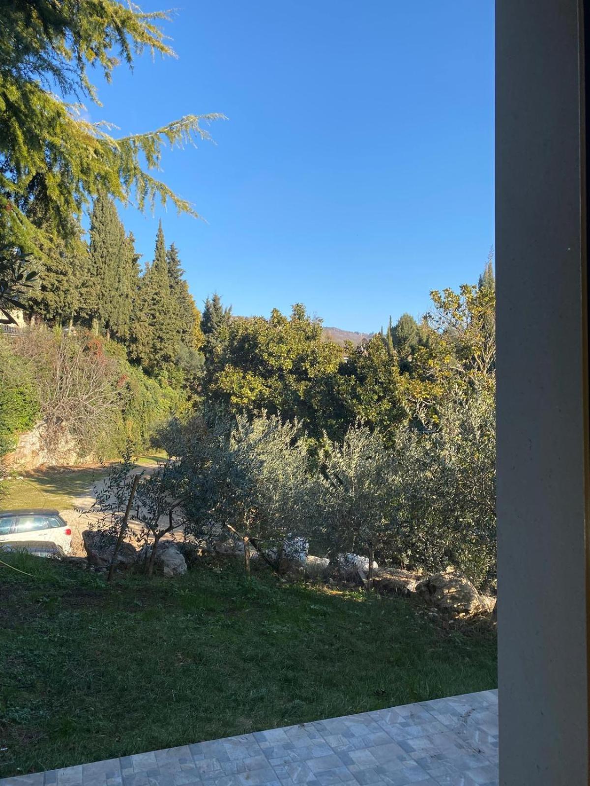Agriturismo I Merli SantʼAmbrogio di Valpolicella Dış mekan fotoğraf